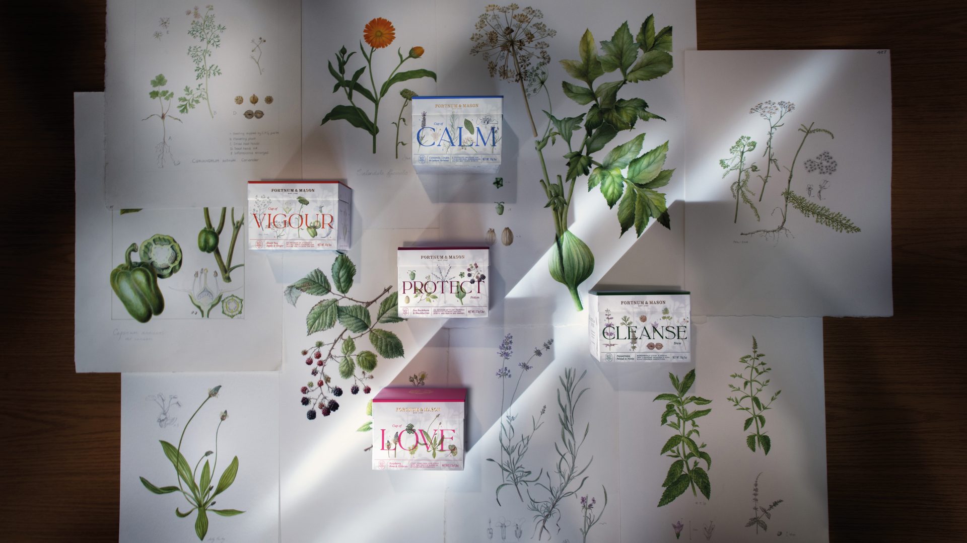 Fortnum & Mason x Chelsea Physic Garden by Design Bridge and Partners London