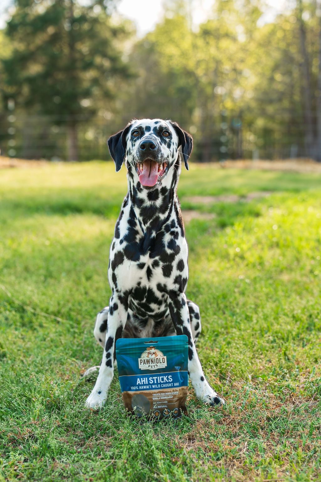 TIPA x Pawniolo Pets by Miki and Nick Vericella, Mario Patino, WildKind Packaging