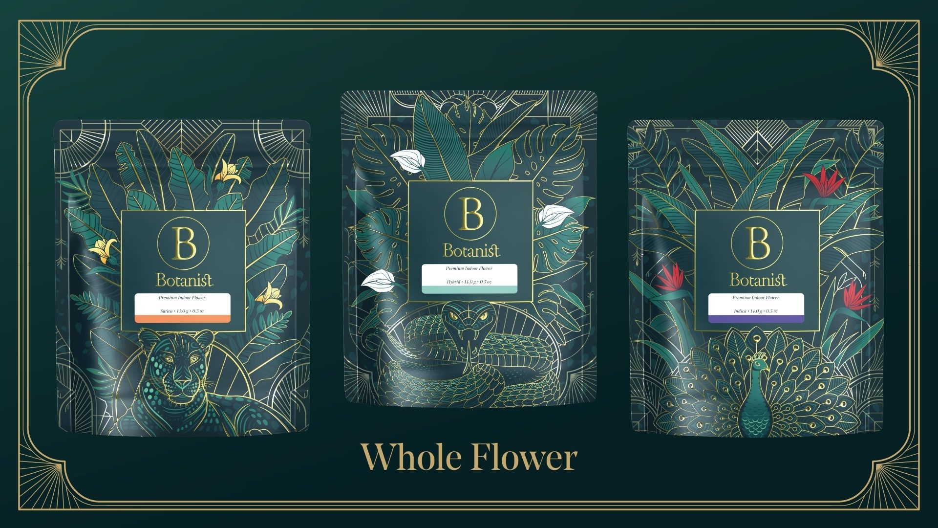 Botanist Jungle Rebrand by Botanist