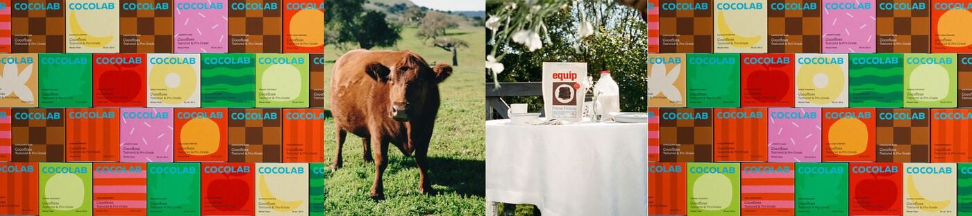 Wedge — Studio of the Year